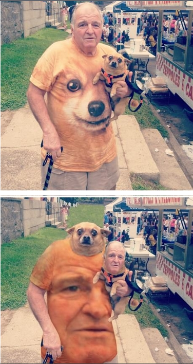 Funny Face Swap Dog