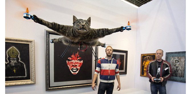 copter-cat-helikopterkatten