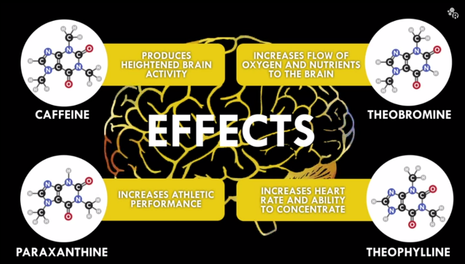 Hur påverkar koffein hjärnan