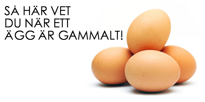 Hur vet man när ett ägg är gammalt