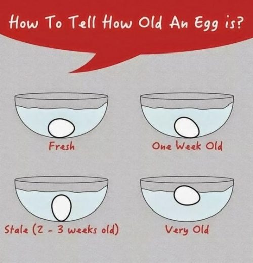 Hur vet man när ett ägg är gammalt