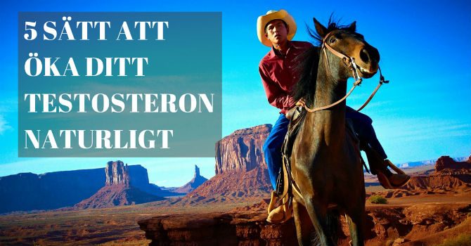 Öka Testosteron Naturligt Öka Testosteron Naturligt