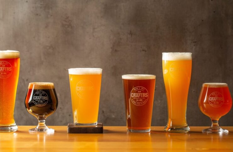 lager vs ale vs stout vs pilsner vs ipa