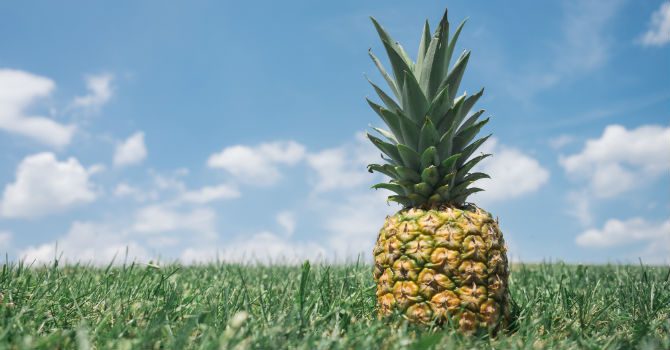 är ananas nyttigt