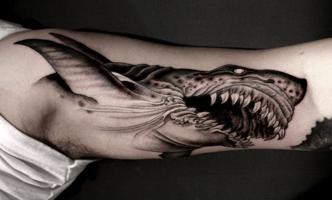tatuering haj betydelse
