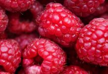 Frukt Med Lite Socker – De Verkligt Nyttiga Frukterna Du Bör Välja frukt med lite socker