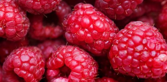 Frukt Med Lite Socker – De Verkligt Nyttiga Frukterna Du Bör Välja frukt med lite socker