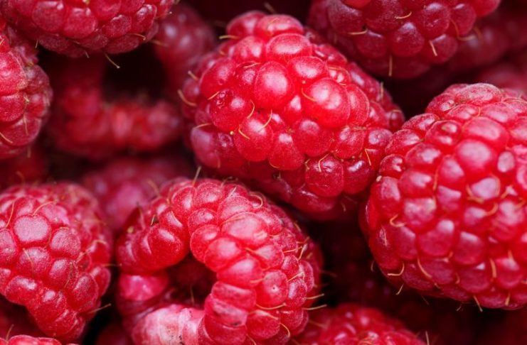 frukt med lite socker