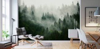 fototapet skog dimma