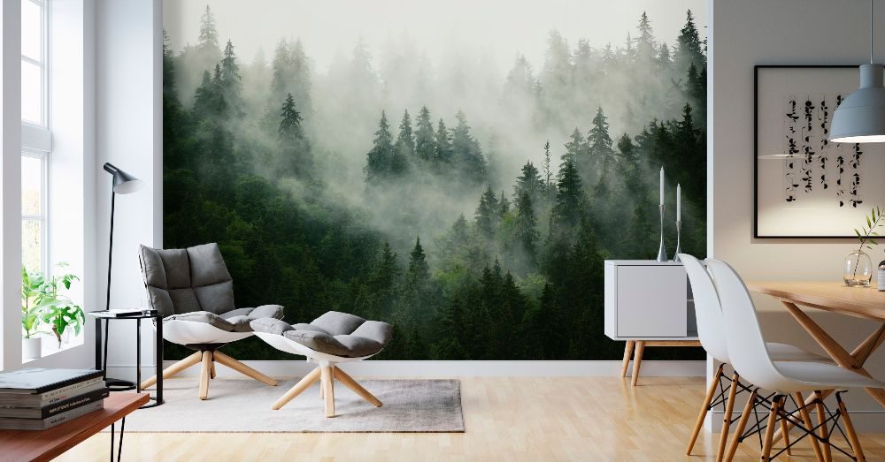fototapet skog dimma