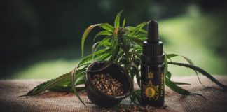 investera i cbd tips