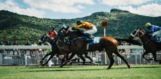 speltips hästar galopp