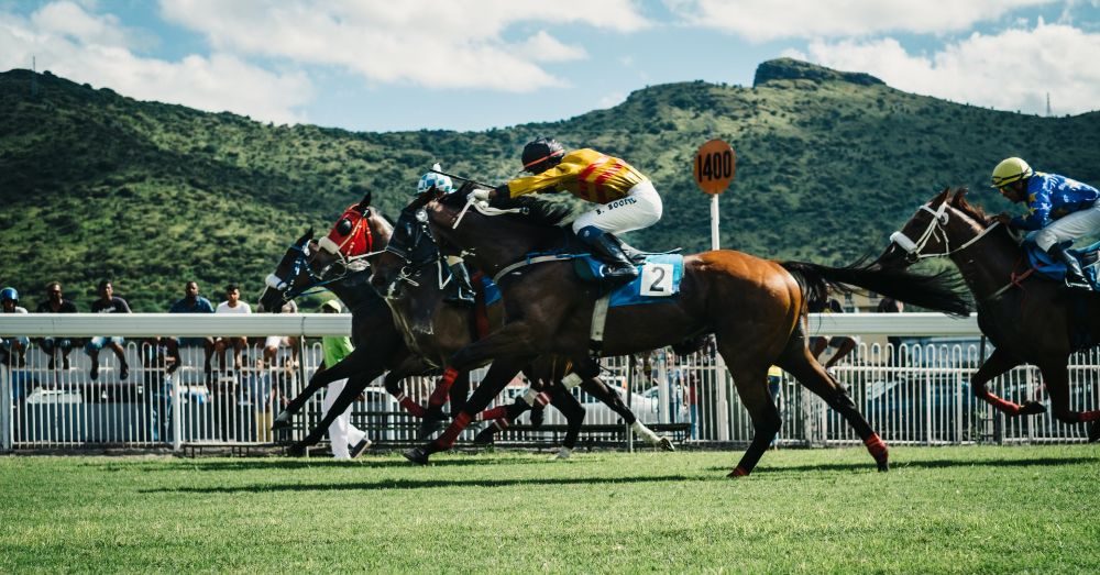 speltips hästar galopp