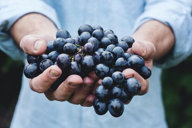 man hudvård antioxidanter