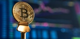 varför har bitcoin överlevt i 10 år