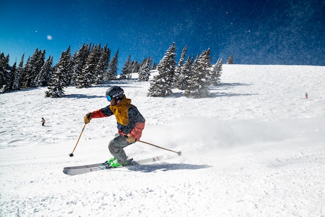 åka skidor i franska alperna
