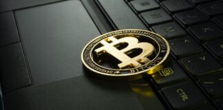 bitcoin risk och potential