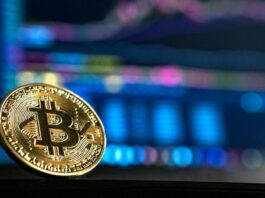 bitcoins uppgång och fall