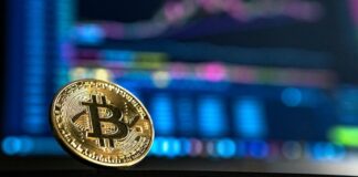 bitcoins uppgång och fall