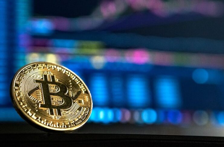 bitcoins uppgång och fall