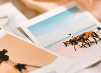polaroidkameror bild