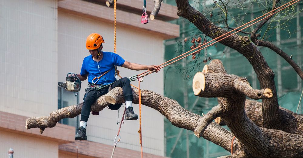 säkra bekväma arbetskläder säkra bekväma arbetskläder